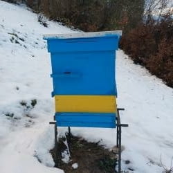Кошерища за пчелини - град Якоруда | Селскостопански Животни - снимка 1