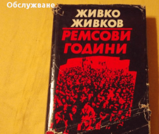 Ремсови години - град Берковица | Художествена Литература