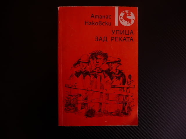 Улица зад реката Атанас Наковски библиотека Златоструй, град Радомир | Художествена Литература - снимка 1