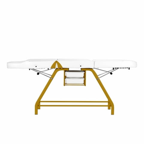 Фиксирана кушетка 557G - с златиста рамка 184 x 60/80 x 76 см - бяла/черна - снимка 4