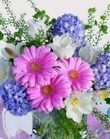 Математика Индивидуални Уроци Пловдив Център - град Пловдив | Ученически - снимка 1