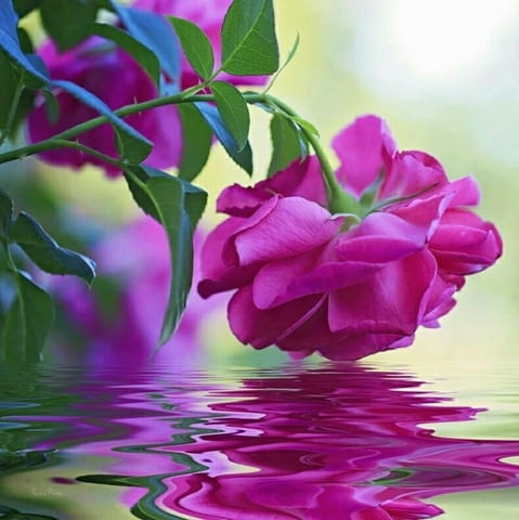 Математика Индивидуални Уроци Пловдив Център - град Пловдив | Ученически - снимка 4