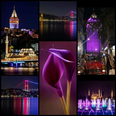 Фестивал на лалето в Истанбул за 3 нощувки
