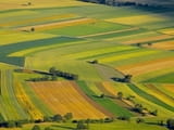 СТАВЕН АД купува, управлява и обработва земеделска земя в цялата страна