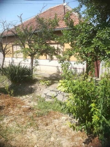Две къщи в Падей, Сърбия