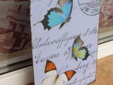 Метална табела пеперуди цветни летят животни свят въздух