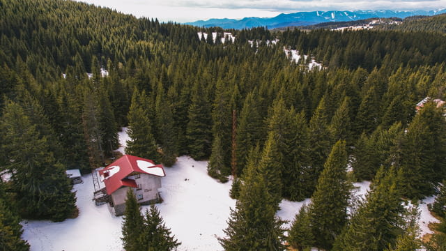 Къща за гости Вила Такови 23 места, механа, външно барбекю, село Момчиловци - снимка 2