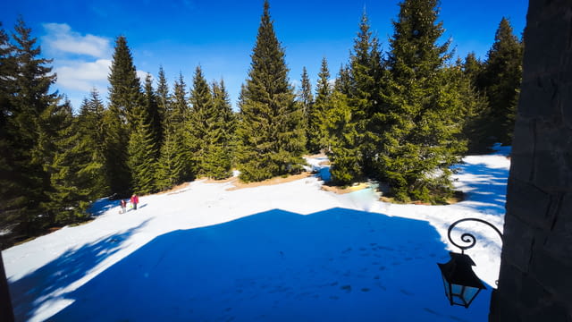 Къща за гости Вила Такови 23 места, механа, външно барбекю, село Момчиловци - снимка 8