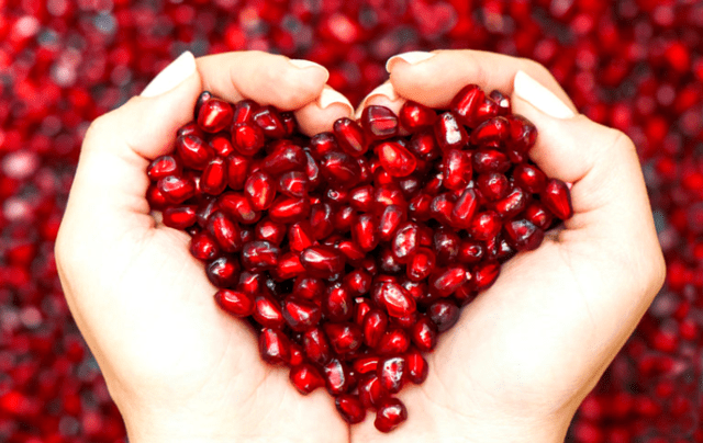 Семена нар - град Берковица | Цветя / Растения / Саксии