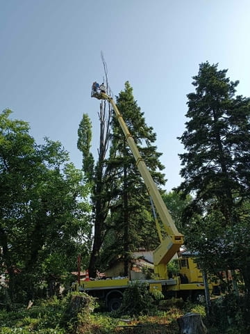 Двор Перфект за вашия двор и градина Абонаментно почистване - Да - град София | Почистване - снимка 5