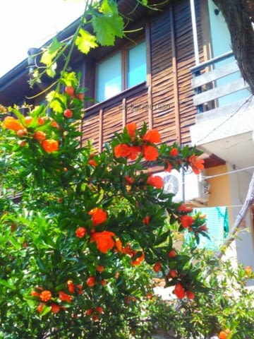 Стаи в Созопол къща за гости "Деница" стар град, град Созопол | Почивка на Море - снимка 3