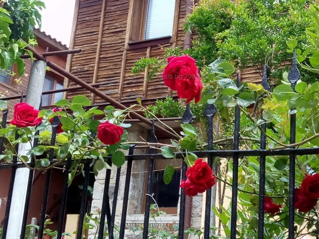 Стаи в Созопол къща за гости "Деница" стар град, град Созопол | Почивка на Море - снимка 4