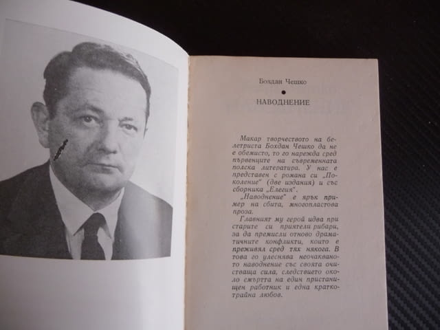 Наводнение Бохдан Чешко рибари пристанище лодки риби, град Радомир | Художествена Литература - снимка 2