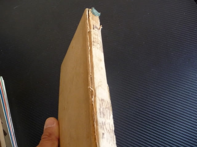 Сребърни кънки П. Стал роман из холандския живот 1946 г. стара книга - снимка 4