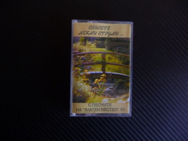 Свирете нежни струни с песните на Златен кестен 93 Балкантон, град Радомир - снимка 1