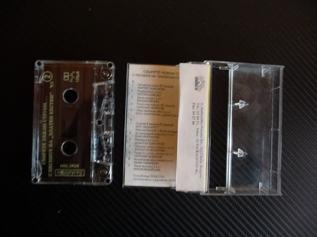 Свирете нежни струни с песните на Златен кестен 93 Балкантон, град Радомир - снимка 2