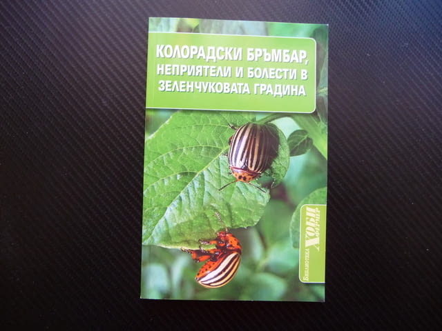 Колорадски бръмбар, неприятели и болести в зеленчуковата градина Мария Янакиева - снимка 1