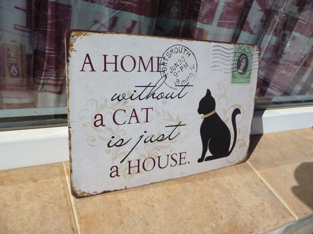 Метална табела надпис Дом без котка е просто къща котенце, град Радомир | Картини - снимка 2
