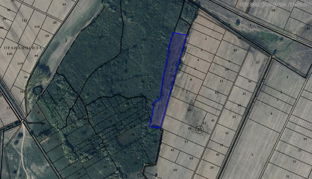 Продавам 135 дка земя в землището на с. Пъдарско, село Пъдарско | Парцели / Земя - снимка 2