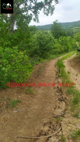 Парцел - главен път В.Търново - Габрово 7297 м2, Земеделска земя - село Зая | Парцели / Земя - снимка 6