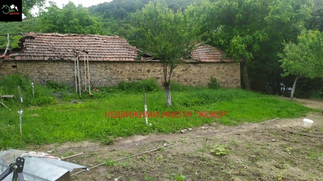 Къща с двор в село Габровци - махала Свирците, village Gabrovci | Houses & Villas - снимка 3