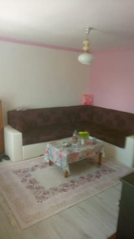 Предлагам къща в Плиска след ремонт, гараж, city of Pliska | Houses & Villas - снимка 5