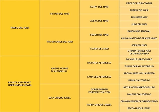 Доберман кученца за продажба Ваксинирано - Да, Обезпаразитено - Да, С чип - Да - град Извън България | Кучета - снимка 4