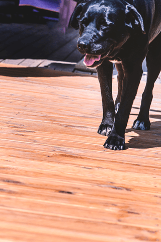 Декинг от дървесина, първокачествен дървен материал от производител - снимка 6