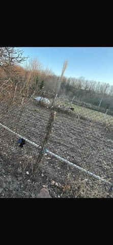 КЪЩА в село Езерово обл. Пловдив 1-етажна, Тухла, 80 м2 - село Езерово | Къщи / Вили - снимка 3