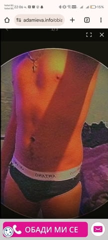 Добър и палав - град Видин | Други