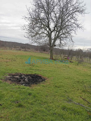 Двуетажна къща с гараж в с. Димитриево, община Чирпан, село Димитриево | Къщи / Вили - снимка 3