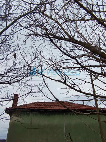 Двуетажна къща с гараж в с. Димитриево, община Чирпан, село Димитриево | Къщи / Вили - снимка 8