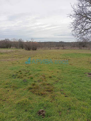 Двуетажна къща с гараж в с. Димитриево, община Чирпан, село Димитриево | Къщи / Вили - снимка 9