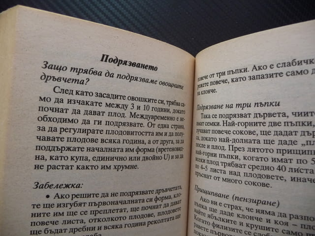 Чудодейни съвети за балкони, тераси, градини бонсаи орхидеи, град Радомир - снимка 3