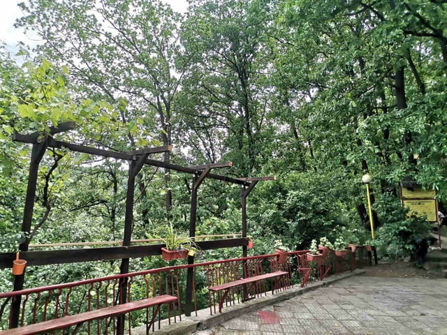 Релакс сред природата на хижа Божурица - град Видин | Селски Туризъм - снимка 2