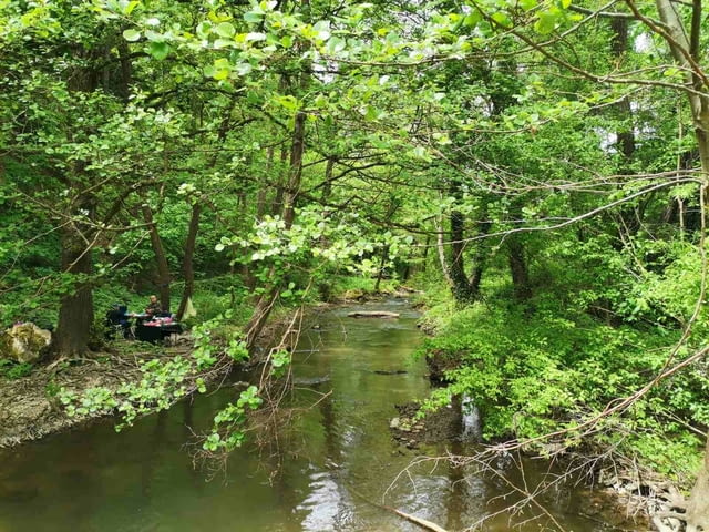 Релакс сред природата на хижа Божурица - град Видин | Селски Туризъм - снимка 7