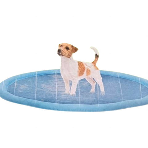 Освежаваща пръскачка-мат за кучета - град Пловдив | Аксесоари - снимка 1