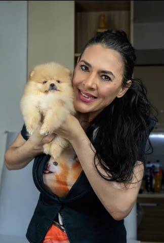 Pomeranian puppies-top litter Померан (Малък английски шпиц), 2 месеца - град Извън България | Кучета - снимка 3