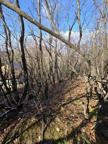 Парцел в село Гълъбово без сменен статут 513 m2, For living - village Galabovo | Land - снимка 2