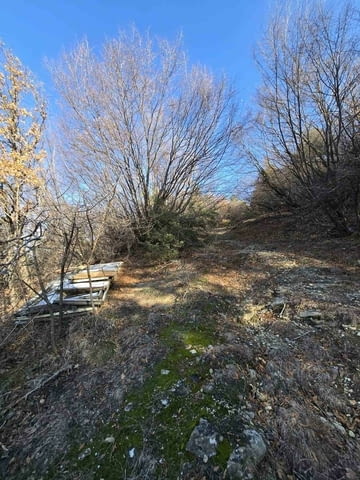 Парцел в село Гълъбово без сменен статут 513 m2, For living - village Galabovo | Land - снимка 5