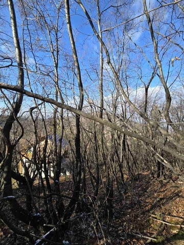 Парцел в село Гълъбово без сменен статут 513 m2, For living - village Galabovo | Land - снимка 6