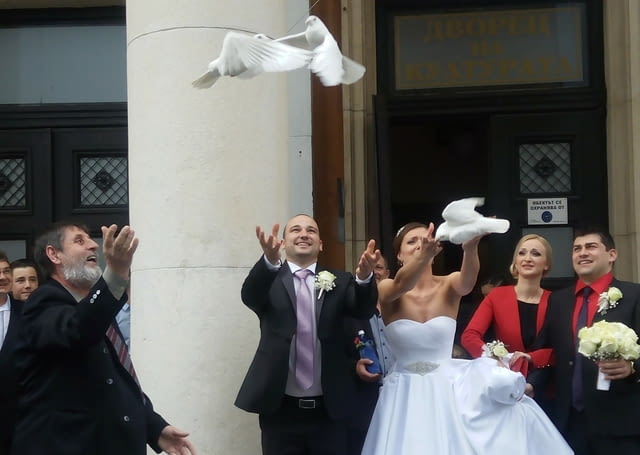 Бели гълъби за вашата сватба и бал! - град Перник | Сватби - снимка 3