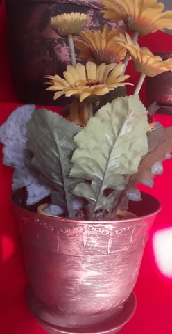 Дкоративни саксии - city of Sofia | Flowers & Pots - снимка 2