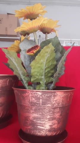 Дкоративни саксии - city of Sofia | Flowers & Pots - снимка 3