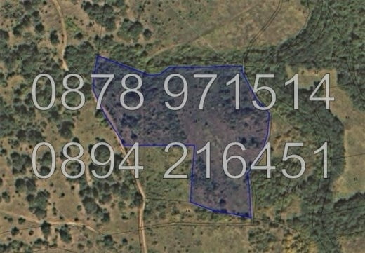 КОДг 62972. Нива 10650м2, кат 8-та. Продава се е втора нива 15дка. Нивите са запуснати и се намира - снимка 6