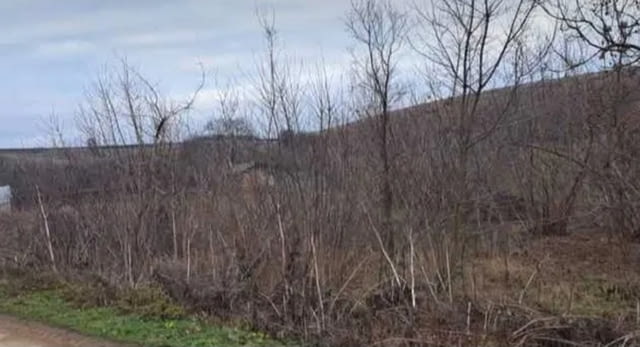 Дворно място с.Смилец, обл.Силистра 1700 м2 - село Смилец | Парцели / Земя