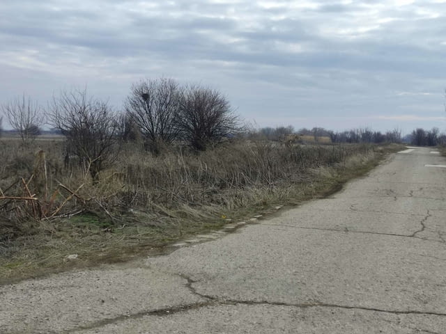 Продавам парцел в с.Скутаре в област Пловдив 14600 м2, За жил.строителство, За пром.строителство - град Пловдив | Парцели / Земя - снимка 11