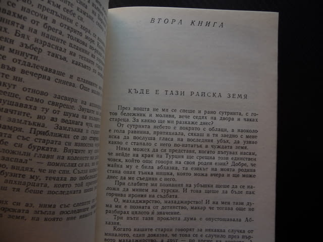 Последният от изчезналите Баграт Шинкуба евтина книга 0.30лв, - снимка 3