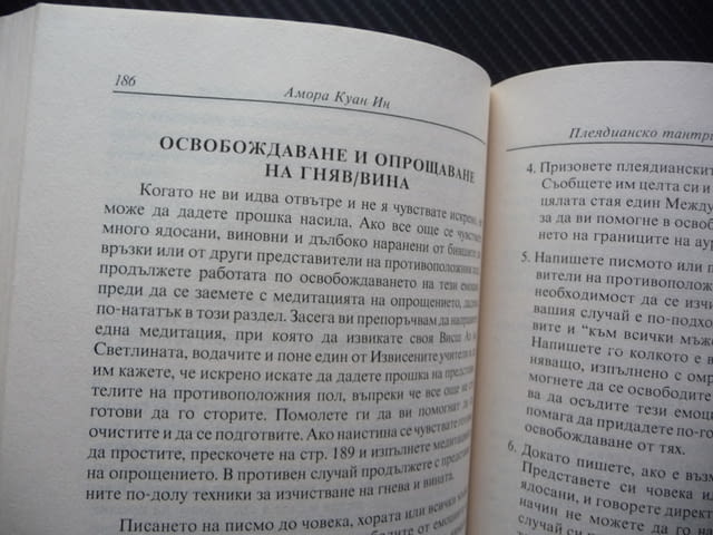 Плеядианско тантристко ръководство Събуждане на вашата божествена Ба Светлината Ка - снимка 2