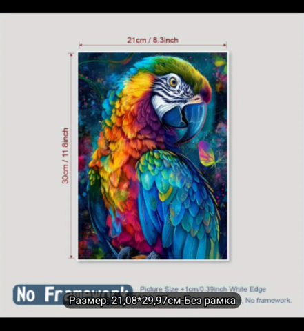 Декорация Папагал - city of Montana | Paintings - снимка 4